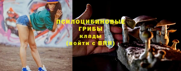 Альфа ПВП Белокуриха