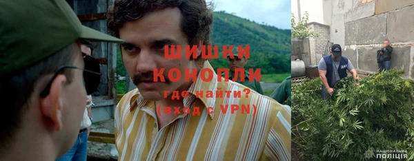Альфа ПВП Белокуриха