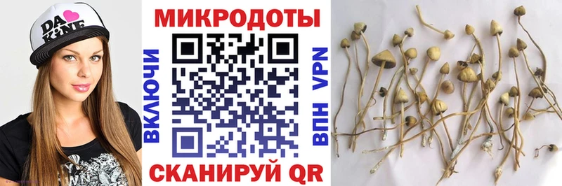 KRAKEN ссылка Улан-Удэ Псилоцибиновые грибы Psilocybe