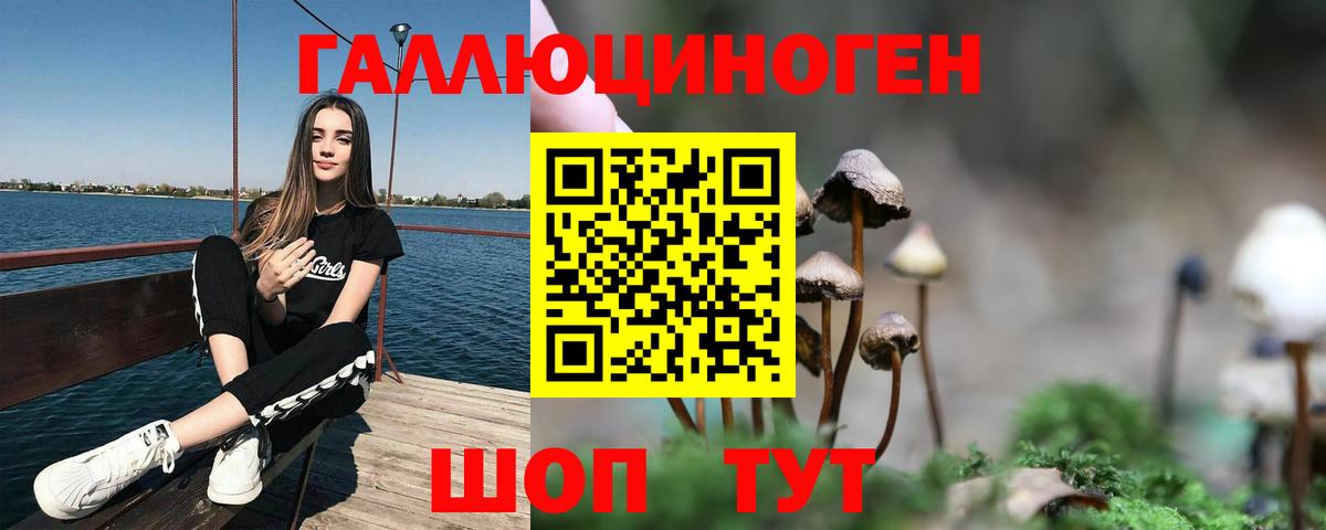 Псилоцибиновые грибы Cubensis Улан-Удэ